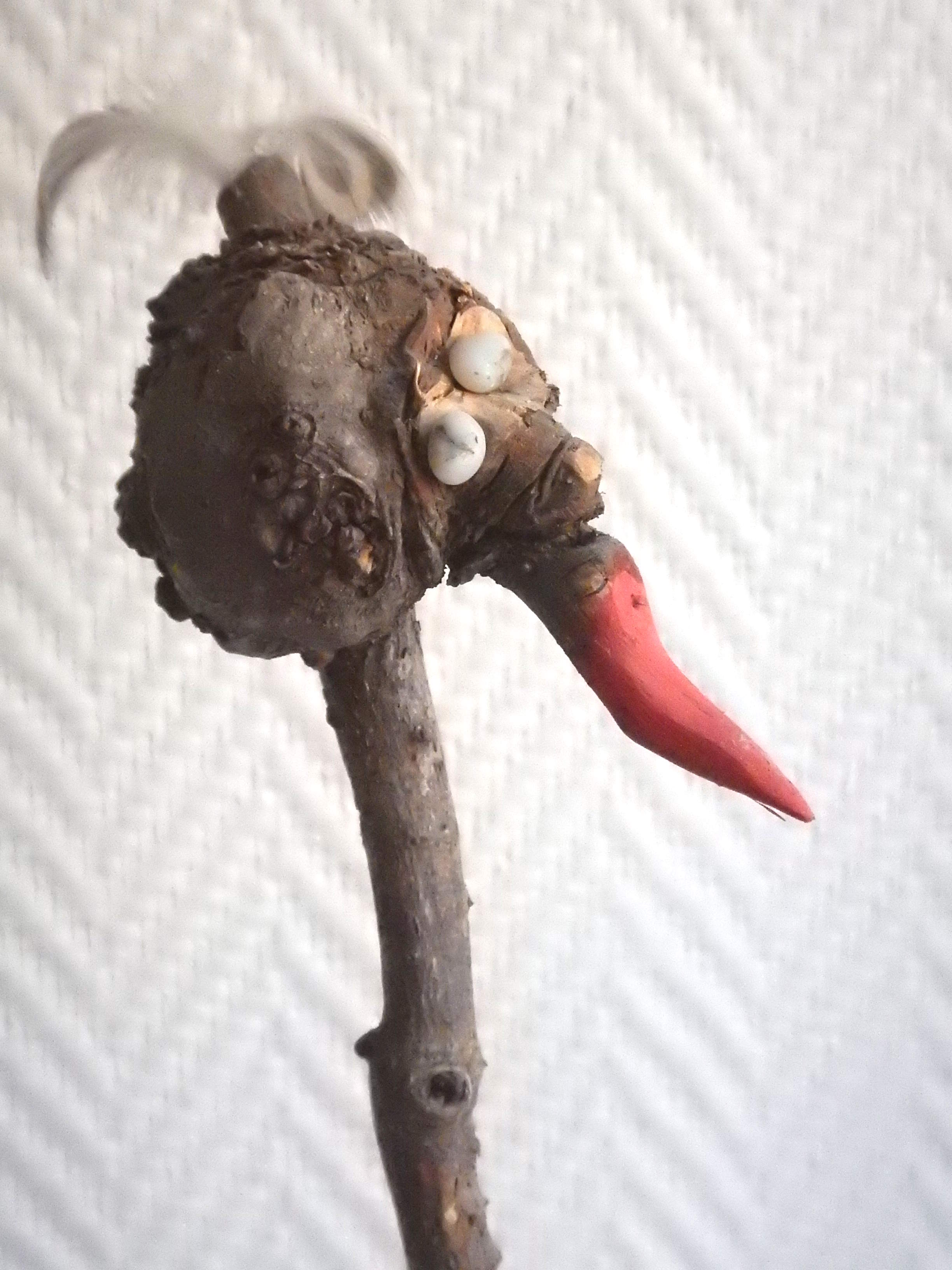 Exposition "drôles de bestioles!"