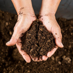 Distribution de compost par la CC3M