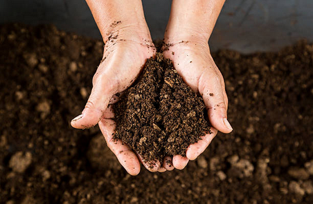 Distribution de compost par la CC3M
