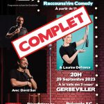 Spectacle d'humoristes